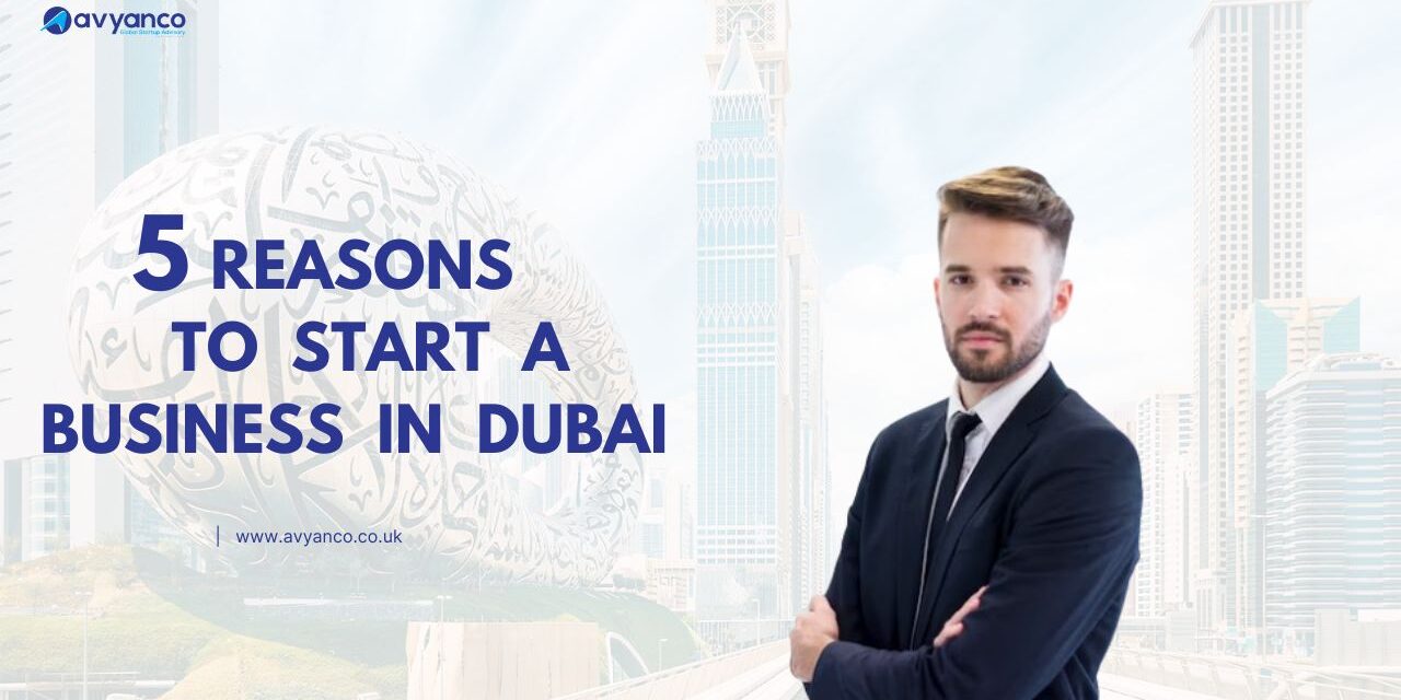 Top 5 Reasons to Start a Business in Dubai